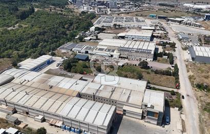 YALOVA ÇİFTLİKKÖY TAŞKÖPRÜ SATILIK FABRİKA!.
