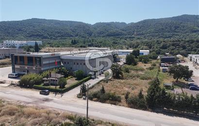 YALOVA ÇİFTLİKKÖY TAŞKÖPRÜ SATILIK FABRİKA!.