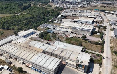 YALOVA ÇİFTLİKKÖY TAŞKÖPRÜ SATILIK FABRİKA!.