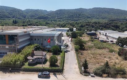 YALOVA ÇİFTLİKKÖY TAŞKÖPRÜ SATILIK FABRİKA!.
