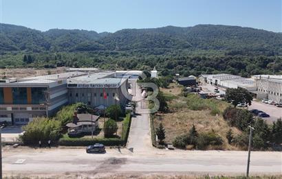 YALOVA ÇİFTLİKKÖY TAŞKÖPRÜ SATILIK FABRİKA!.