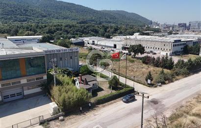 YALOVA ÇİFTLİKKÖY TAŞKÖPRÜ SATILIK FABRİKA!.