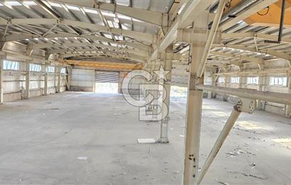BURSA ORHANGAZİ KİRALIK FABRİKA BİNASI!.3000M2