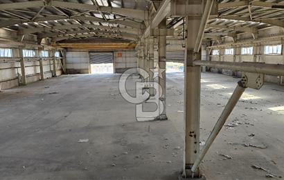 BURSA ORHANGAZİ KİRALIK FABRİKA BİNASI!.3000M2