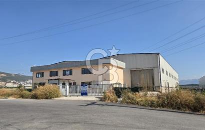 BURSA ORHANGAZİ KİRALIK FABRİKA BİNASI!.3000M2