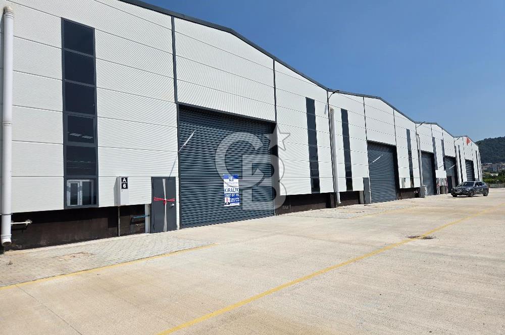 YALOVA ÇİFTLİKKÖY TAŞKÖPRÜ KİRALIK FABRİKA İŞ YERİ!. 1320M2