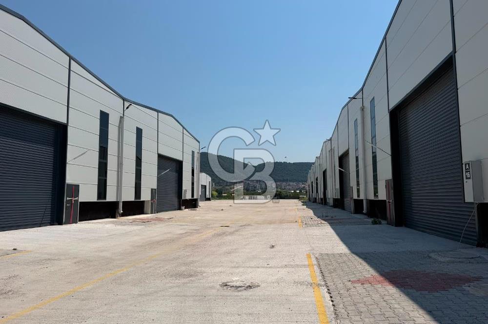 YALOVA ÇİFTLİKKÖY TAŞKÖPRÜ KİRALIK FABRİKA İŞ YERİ!. 330M2