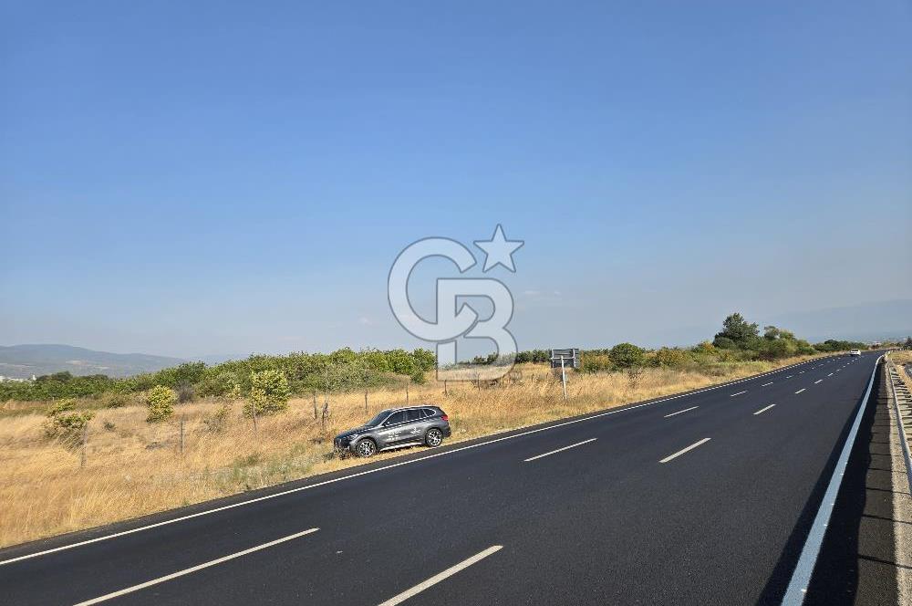 BURSA YALOVA YOLUNA CEPHE SATILIK ARAZİ!.11.175M2