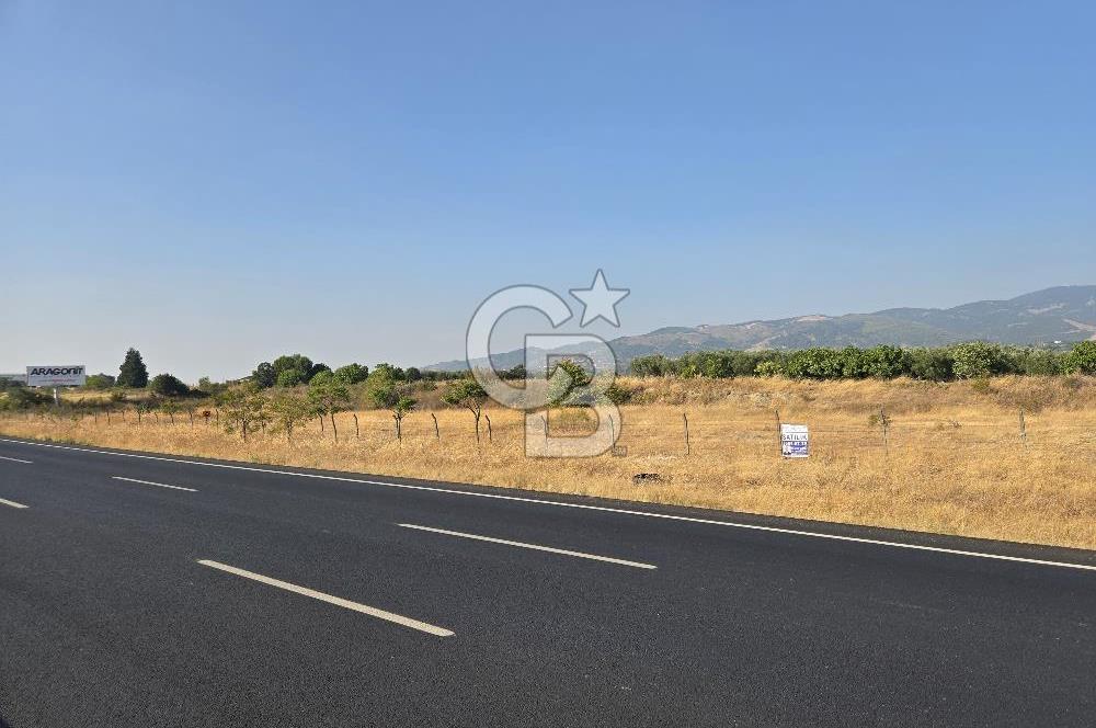 BURSA YALOVA YOLUNA CEPHE SATILIK ARAZİ!.11.175M2