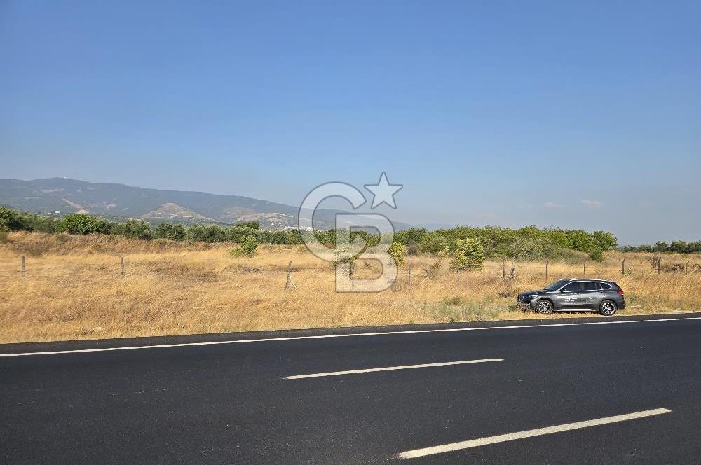 BURSA YALOVA YOLUNA CEPHE SATILIK ARAZİ!.11.175M2