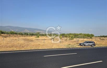 BURSA YALOVA YOLUNA CEPHE SATILIK ARAZİ!.11.175M2