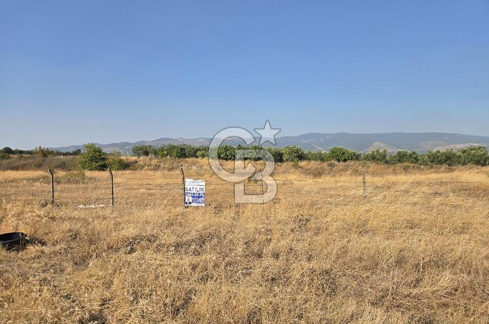 BURSA YALOVA YOLUNA CEPHE SATILIK ARAZİ!.11.175M2