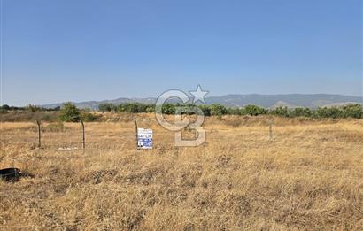 BURSA YALOVA YOLUNA CEPHE SATILIK ARAZİ!.11.175M2