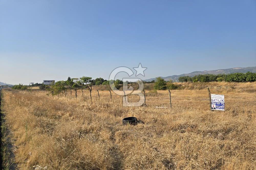 BURSA YALOVA YOLUNA CEPHE SATILIK ARAZİ!.11.175M2