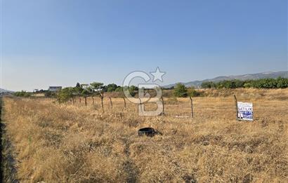 BURSA YALOVA YOLUNA CEPHE SATILIK ARAZİ!.11.175M2