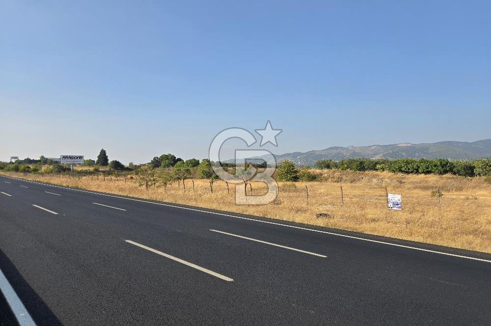 BURSA YALOVA YOLUNA CEPHE SATILIK ARAZİ!.11.175M2