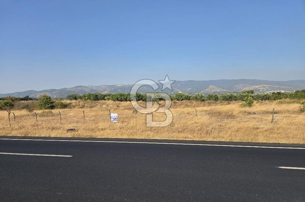 BURSA YALOVA YOLUNA CEPHE SATILIK ARAZİ!.11.175M2