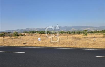 BURSA YALOVA YOLUNA CEPHE SATILIK ARAZİ!.11.175M2