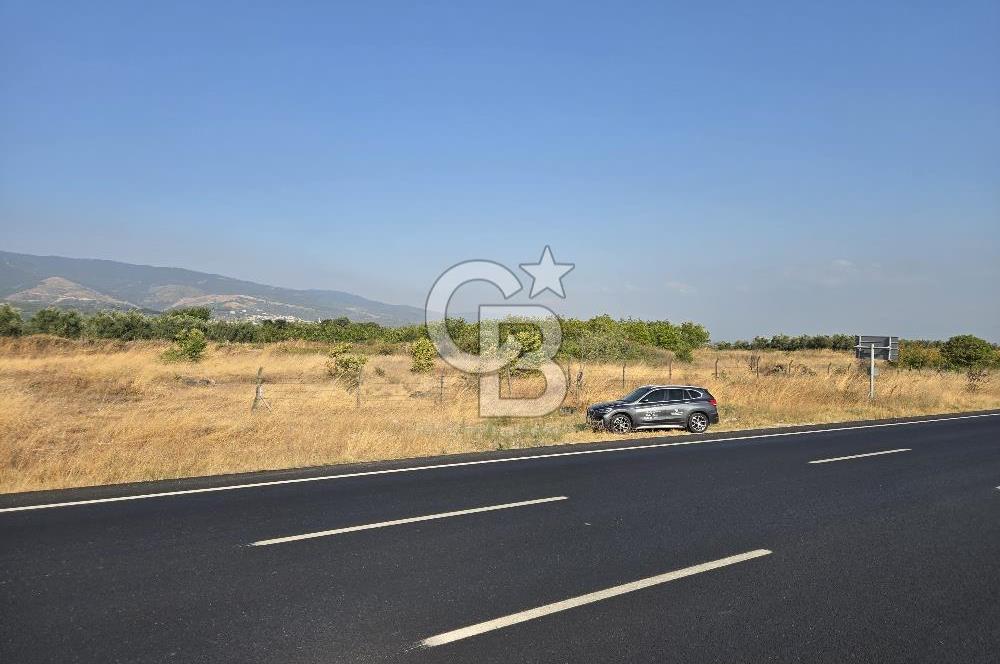 BURSA YALOVA YOLUNA CEPHE SATILIK ARAZİ!.11.175M2