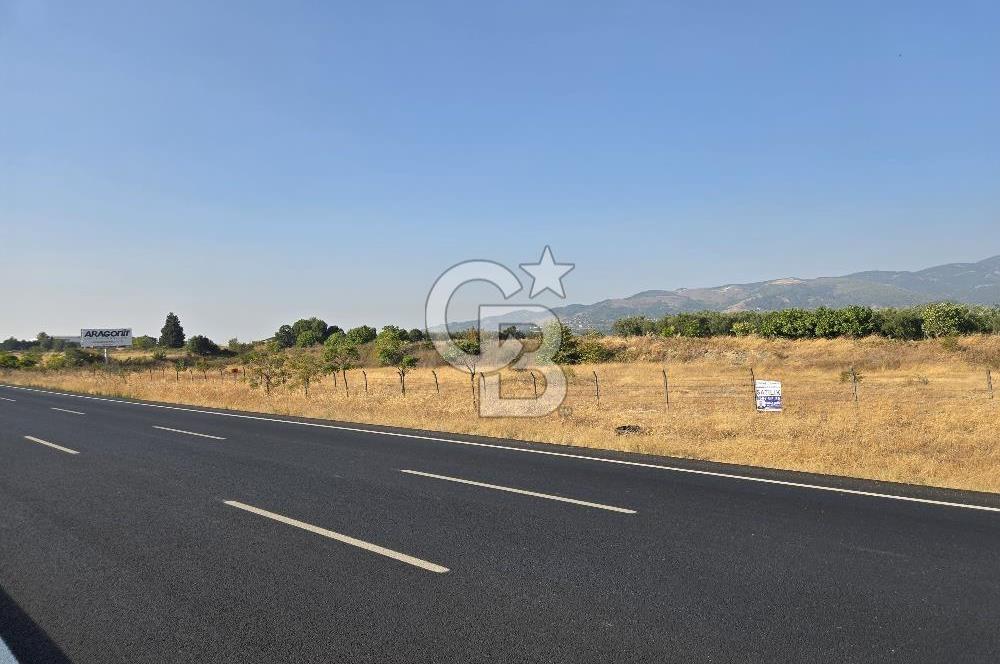 BURSA YALOVA YOLUNA CEPHE SATILIK ARAZİ!.11.175M2
