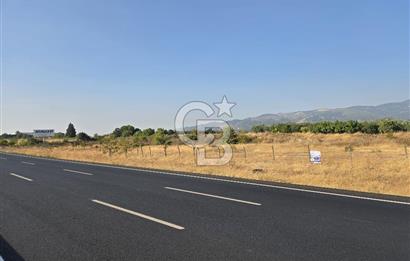 BURSA YALOVA YOLUNA CEPHE SATILIK ARAZİ!.11.175M2