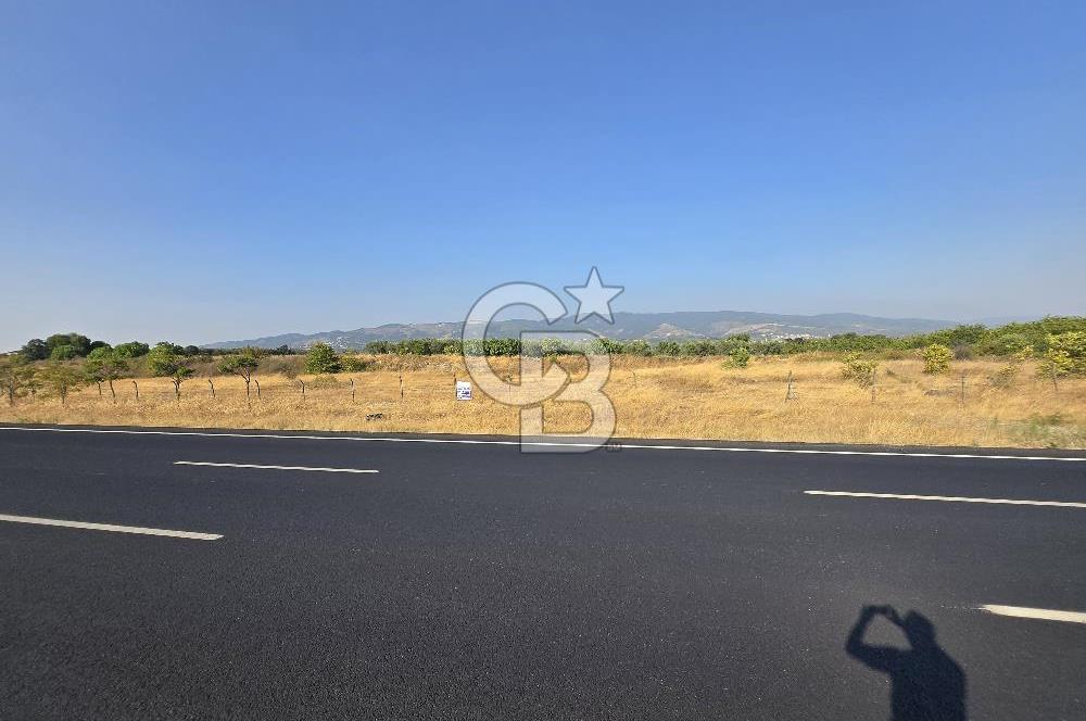 BURSA YALOVA YOLUNA CEPHE SATILIK ARAZİ!.11.175M2