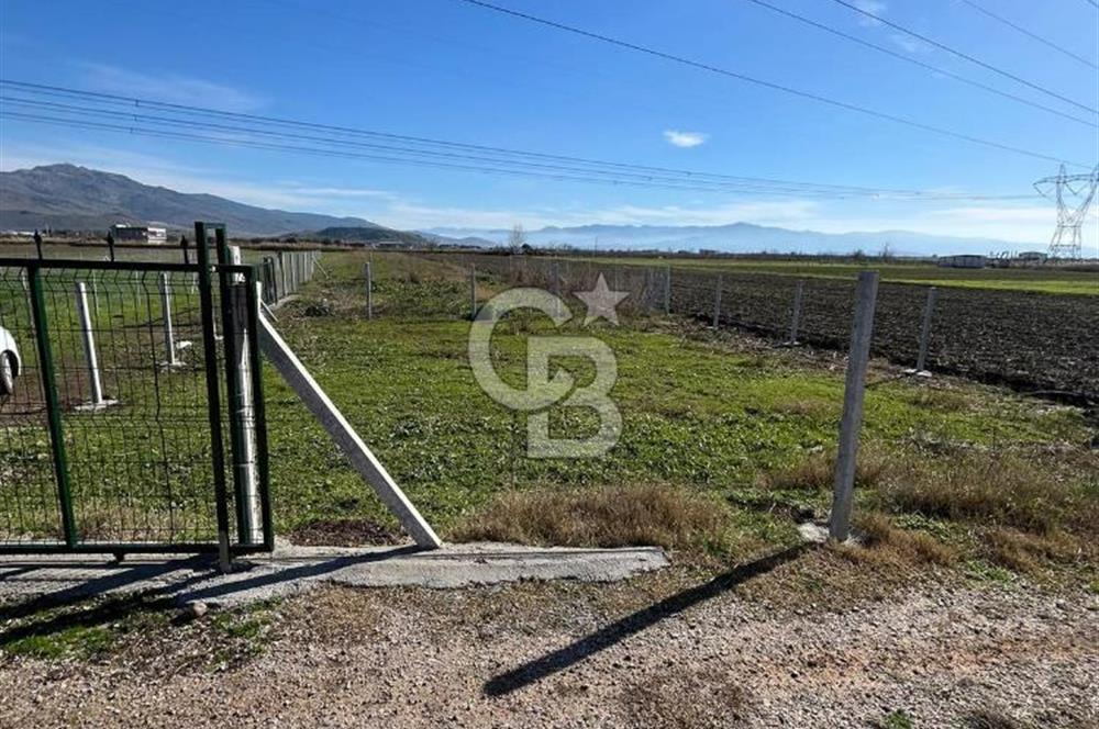 Foça Gerenköy’de Hisse Tapulu Tarla – Kadastral Yola Cepheli