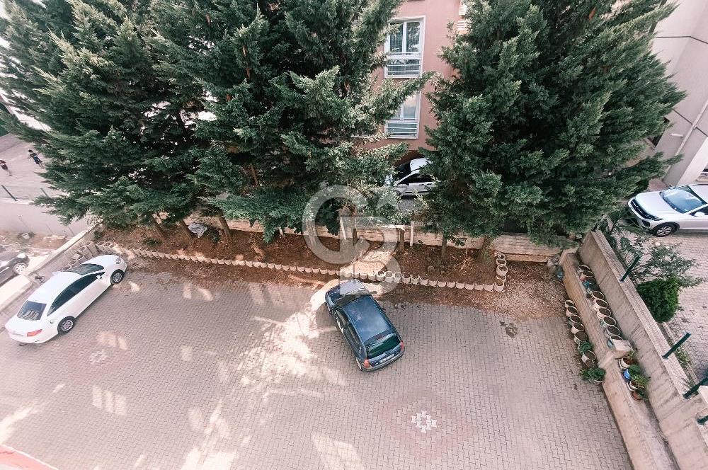 Nilüfer Çalı- Gümüşlük'te 3+1 masrafsız satılık dubleks daire