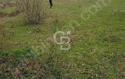 KANDIRADA YATIRIMLIK SATILIK VERİMLİ TARLA