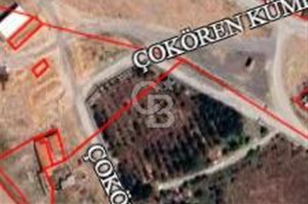 TEMELLİ ÇOKÖREN'DE KÖY İÇİ SATILIK 2334 m² SATILIK BAHÇE-TARLA