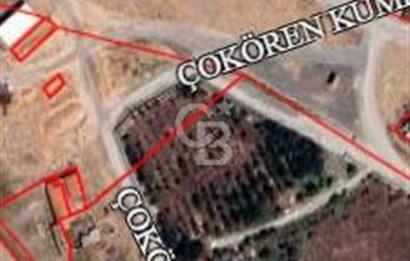 TEMELLİ ÇOKÖREN'DE KÖY İÇİ SATILIK 2334 m² SATILIK BAHÇE-TARLA