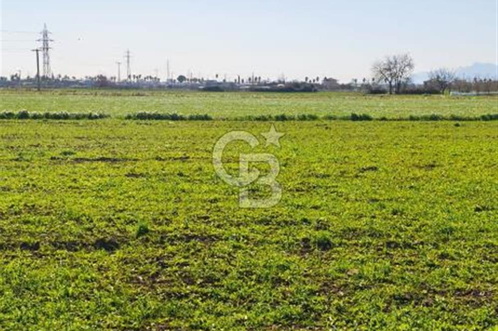DÖŞEMEALTI SELİMİYE'DE FIRSAT!!!ELEKTRİK,SU YOL,KÖY İÇİ İMARLI