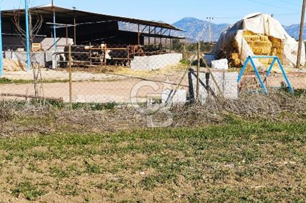DÖŞEMEALTI SELİMİYE'DE FIRSAT!!!ELEKTRİK,SU YOL,KÖY İÇİ İMARLI