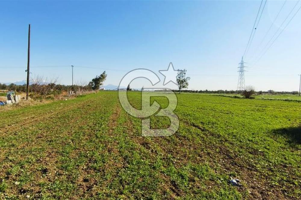 DÖŞEMEALTI SELİMİYE'DE FIRSAT!!!ELEKTRİK,SU YOL,KÖY İÇİ İMARLI
