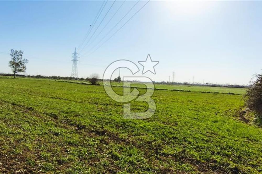 DÖŞEMEALTI SELİMİYE'DE FIRSAT!!!ELEKTRİK,SU YOL,KÖY İÇİ İMARLI