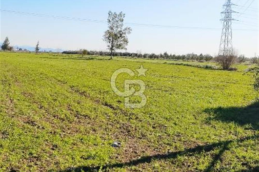 DÖŞEMEALTI SELİMİYE'DE FIRSAT!!!ELEKTRİK,SU YOL,KÖY İÇİ İMARLI