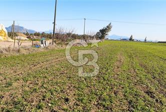 DÖŞEMEALTI SELİMİYE'DE FIRSAT!!!ELEKTRİK,SU YOL,KÖY İÇİ İMARLI - 6 - 371023