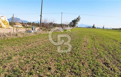 DÖŞEMEALTI SELİMİYE'DE FIRSAT!!!ELEKTRİK,SU YOL,KÖY İÇİ İMARLI