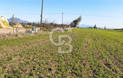 DÖŞEMEALTI SELİMİYE'DE FIRSAT!!!ELEKTRİK,SU YOL,KÖY İÇİ İMARLI