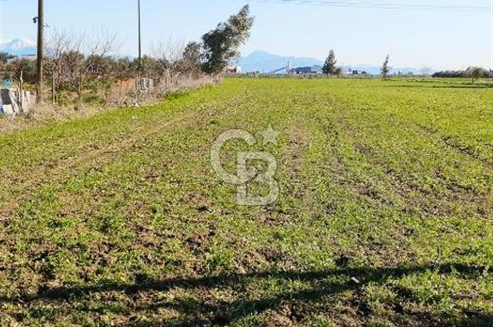 DÖŞEMEALTI SELİMİYE'DE FIRSAT!!!ELEKTRİK,SU YOL,KÖY İÇİ İMARLI