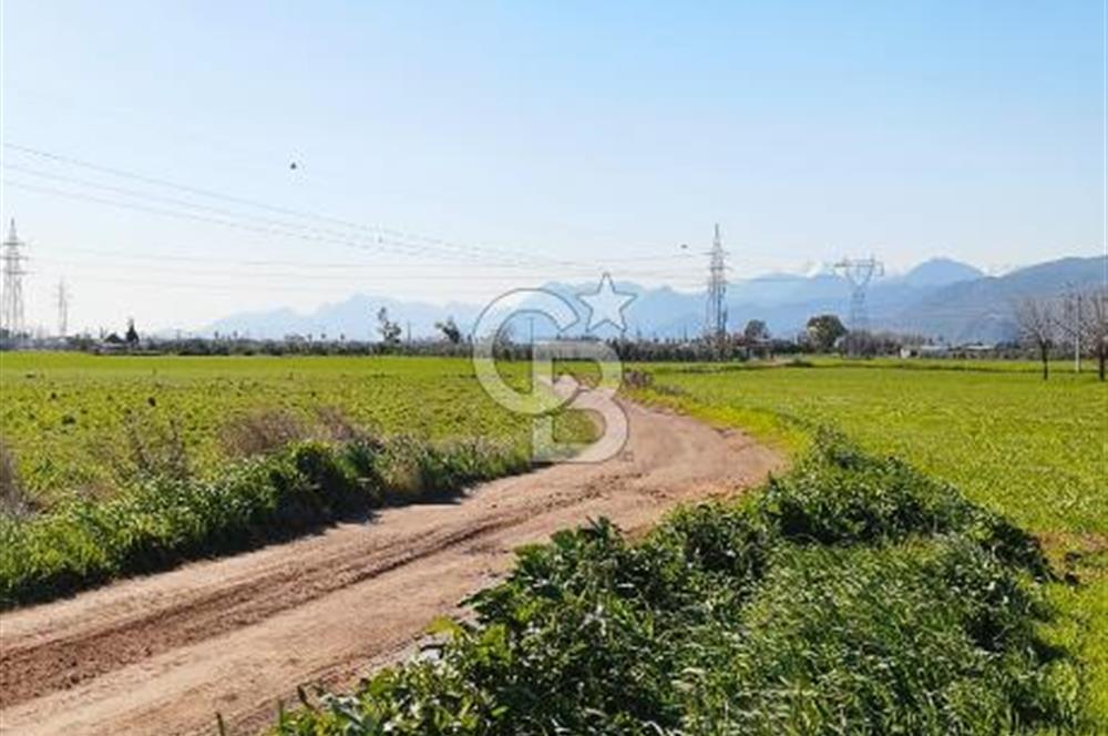 DÖŞEMEALTI SELİMİYE'DE FIRSAT!!!ELEKTRİK,SU YOL,KÖY İÇİ İMARLI