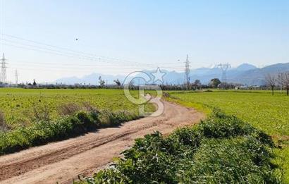 DÖŞEMEALTI SELİMİYE'DE FIRSAT!!!ELEKTRİK,SU YOL,KÖY İÇİ İMARLI