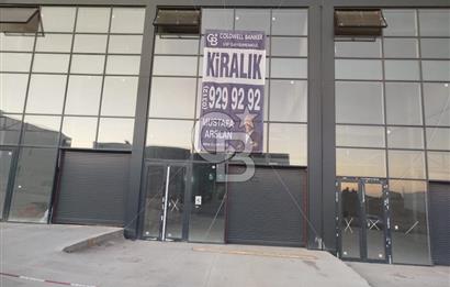 ANTEKS ARIKANLAR ROTA'DA ASMA KATLI EN BÜYÜK DÜKKAN 250M2 