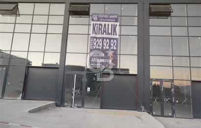 ANTEKS ARIKANLAR ROTA'DA ASMA KATLI EN BÜYÜK DÜKKAN 250M2 