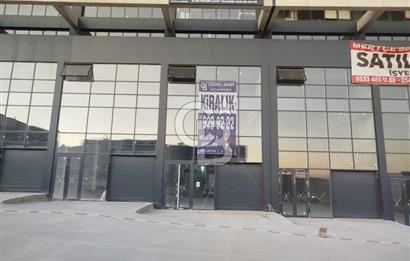 ANTEKS ARIKANLAR ROTA'DA ASMA KATLI EN BÜYÜK DÜKKAN 250M2 