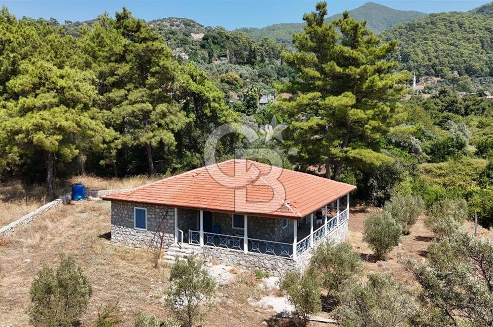 KÖYCEĞİZ EKİNCİK KOYU'NDA 1.300M² ARSA İÇİNDE TAŞ EV