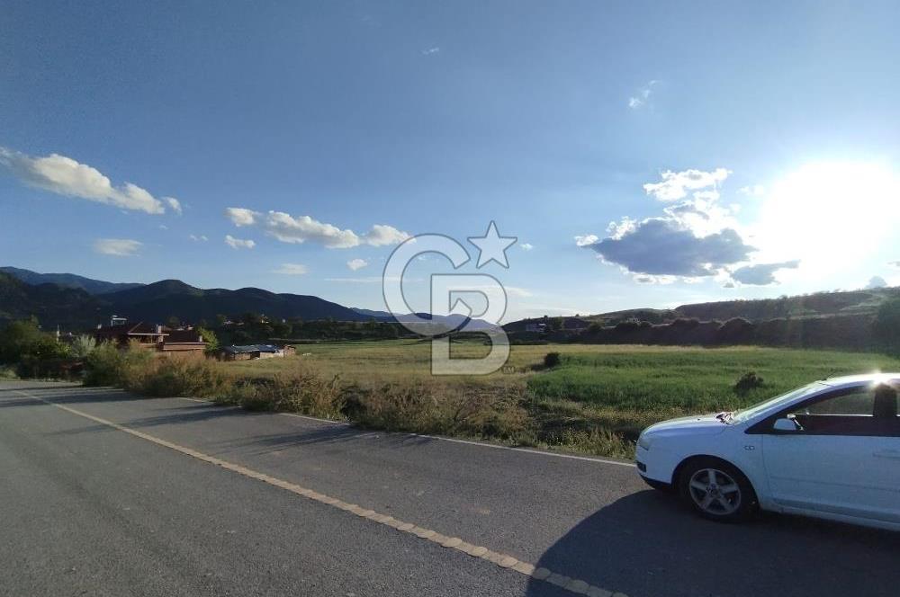 KASTAMONU TOSYA'DA TEK TAPU ANA YOLA CEPHE 2.112 m² YATIRIMLIK