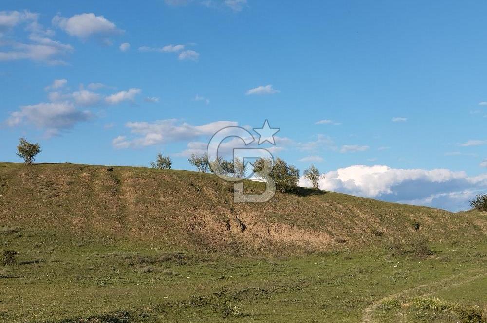 KASTAMONU TOSYA'DA TEK TAPU ANA YOLA CEPHE 2.112 m² YATIRIMLIK