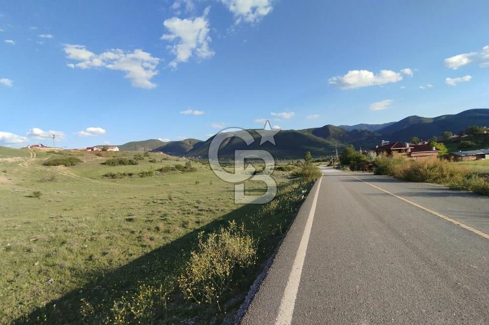 KASTAMONU TOSYA'DA TEK TAPU ANA YOLA CEPHE 2.112 m² YATIRIMLIK