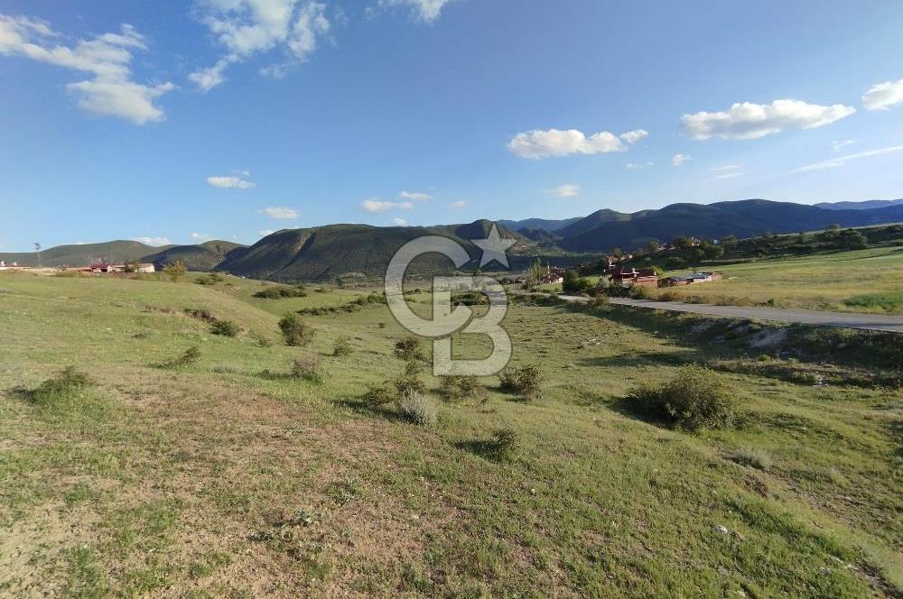 KASTAMONU TOSYA'DA TEK TAPU ANA YOLA CEPHE 2.112 m² YATIRIMLIK